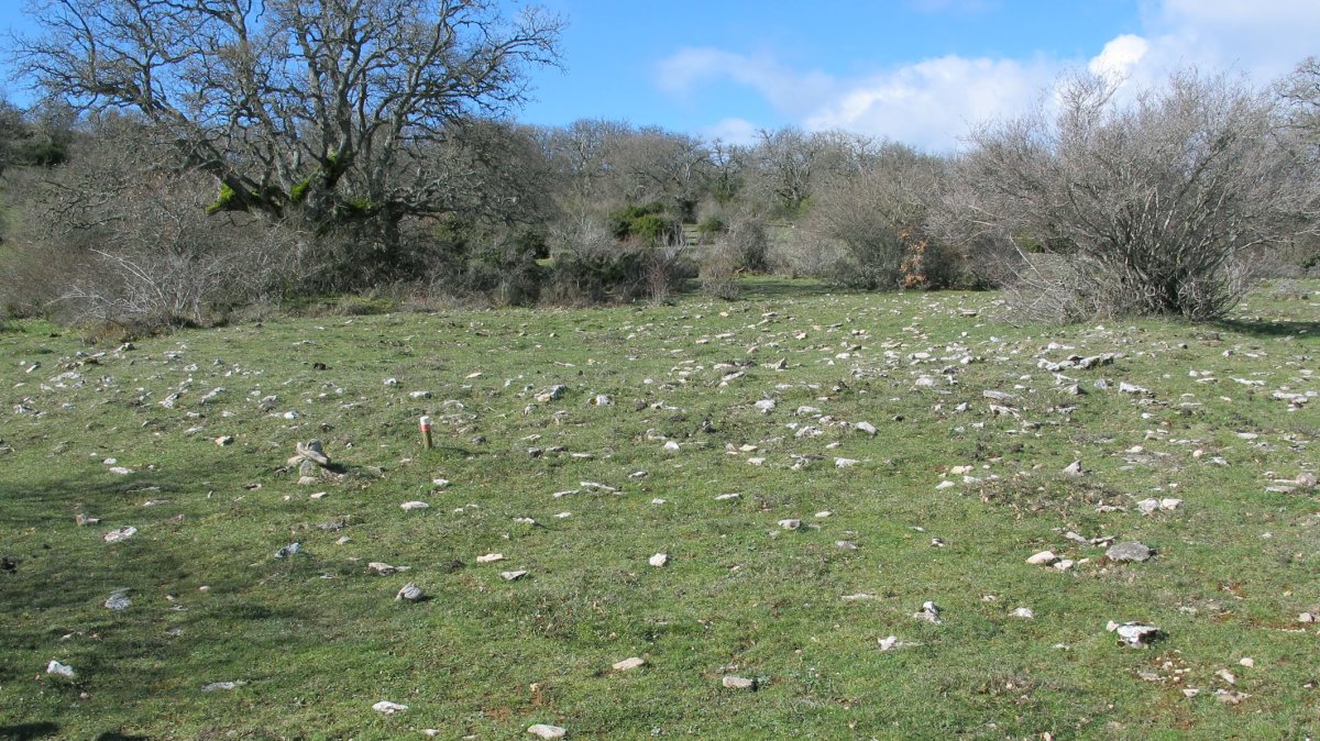 Itxasorde 1 eraztun-tumulua, Azantza-Goñi