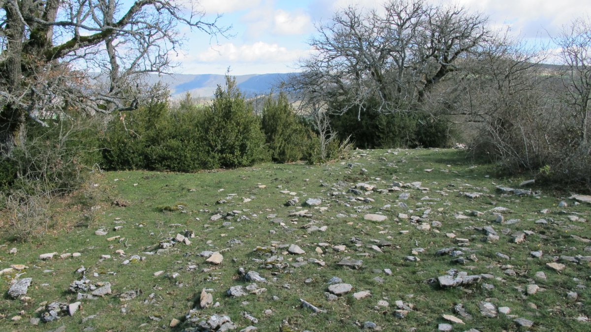 Itxasorde 2 eraztun-tumulua, Azantza-Goñi