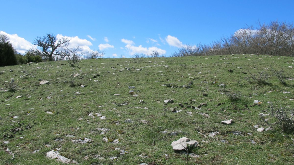 Obiarri eraztun-tumulua, Azantza-Goñi
