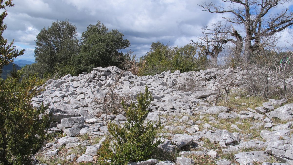 Obiarri tumulua, Azantza-Goñi
