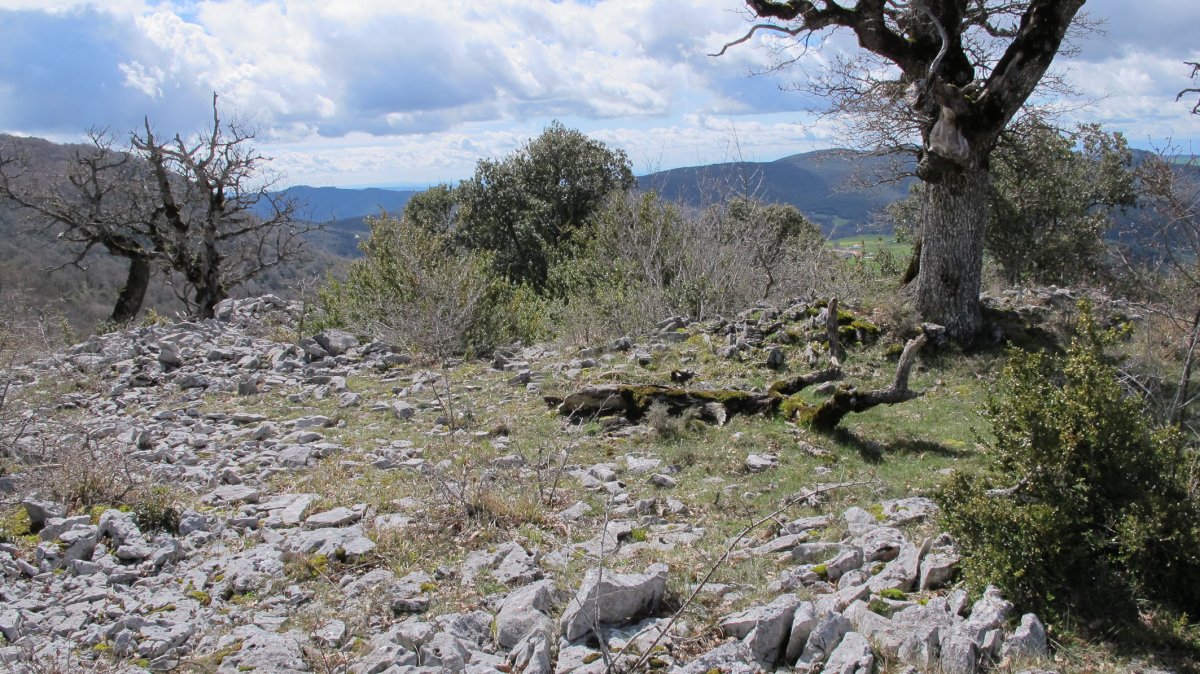 Obiarri tumulua, Azantza-Goñi
