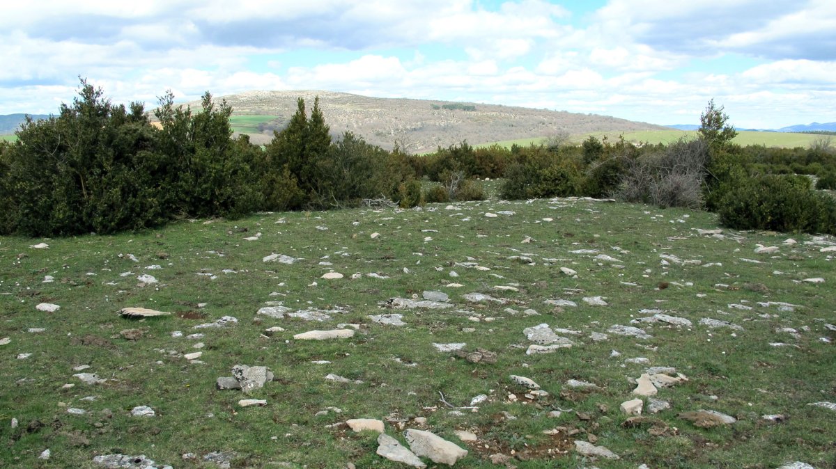 Arpide eraztun-tumulua, Etxauri