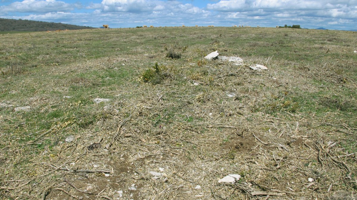 Majada Sarbil ekialde 2 tumulua, Etxauri