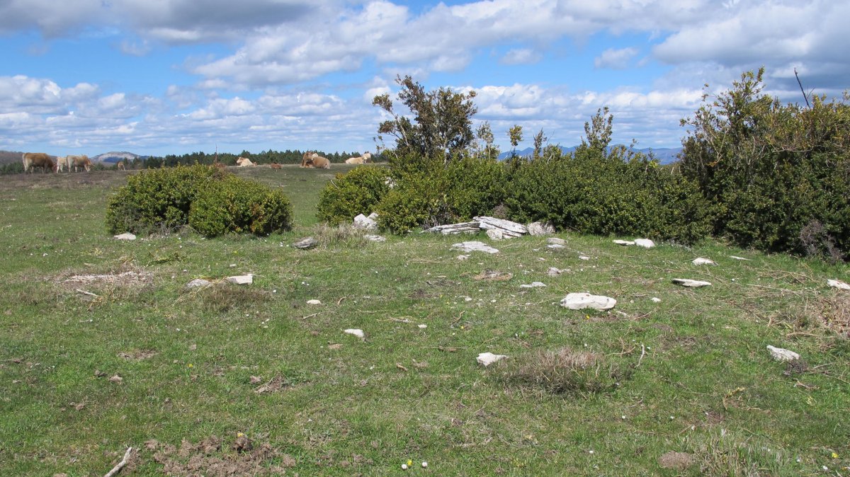 Majada Sarbil trikuharria, Etxauri