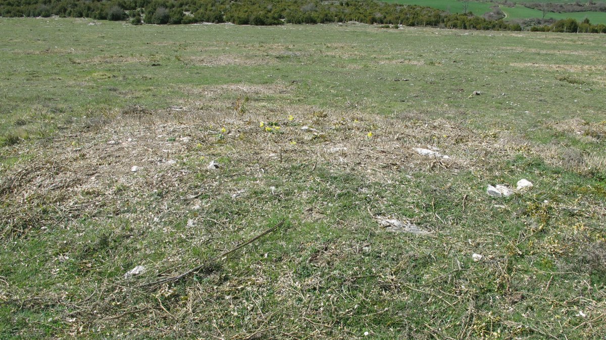 Borda del Mesón 1 tumulua, Etxauri