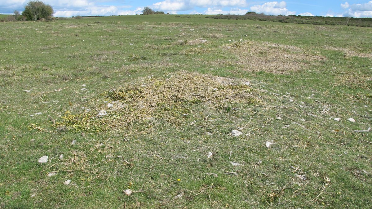 Borda del Mesón 3 tumulua, Etxauri