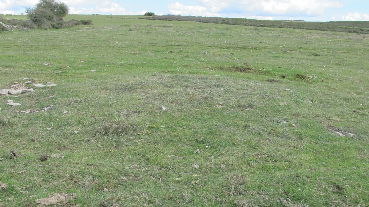 Borda del Mesón 4 tumulua, Etxauri