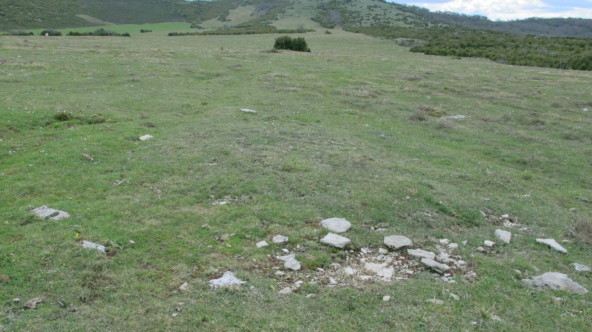 Borda del Mesón 4 tumulua, Etxauri