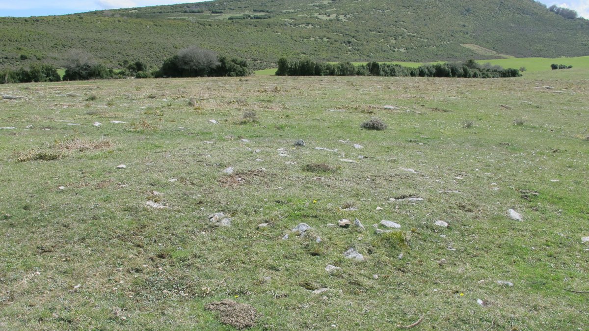 Borda del Mesón 6 tumulua, Etxauri