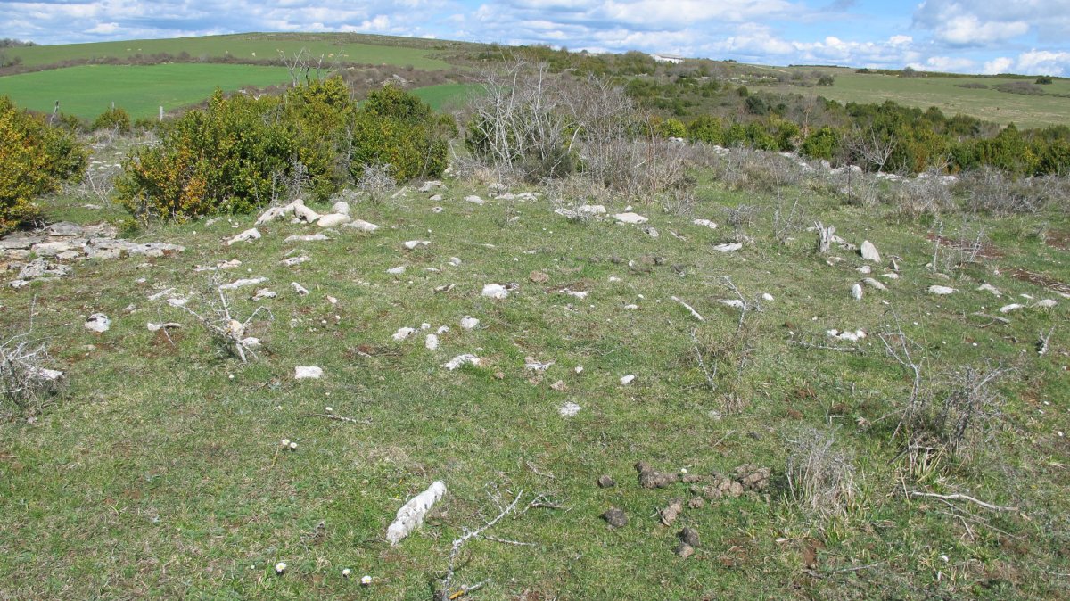 Sarbilzelai tumulua, Azantza-Goñi