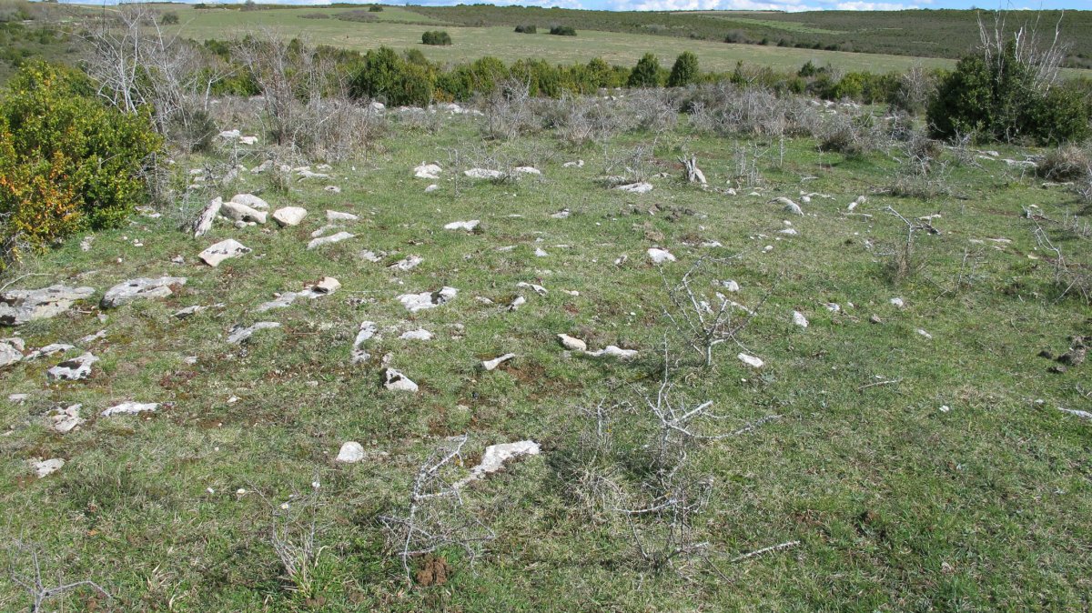 Sarbilzelai tumulua, Azantza-Goñi