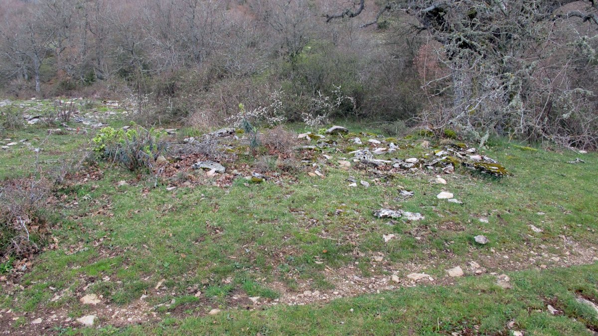 Arizdia 6 tumulua, Azantza-Goñi