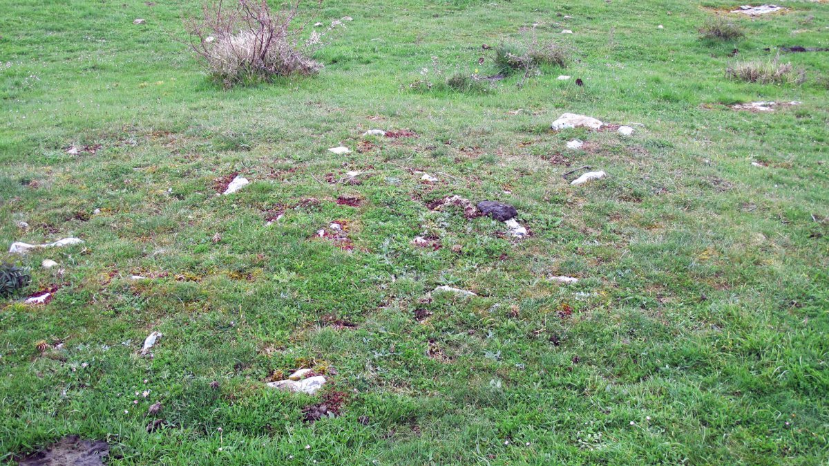 Alto de Irurbe 3 ekialde tumulua, Ultzurrun-Ollo