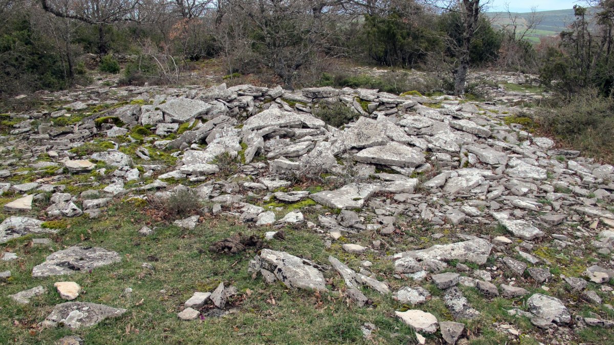 Larrola 1 tumulua, Azantza-Goñi