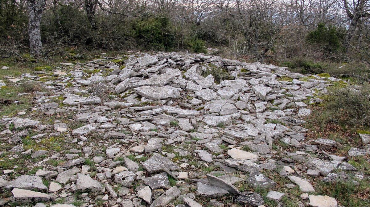 Larrola 1 tumulua, Azantza-Goñi
