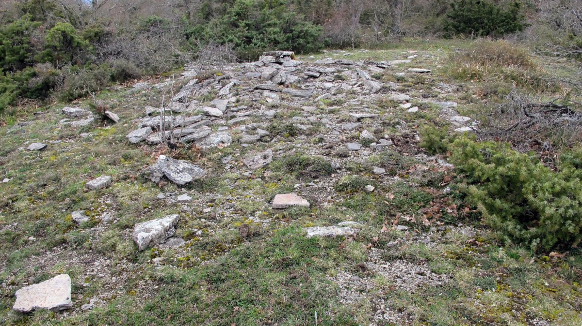 Larrola 2 tumulua, Azantza-Goñi