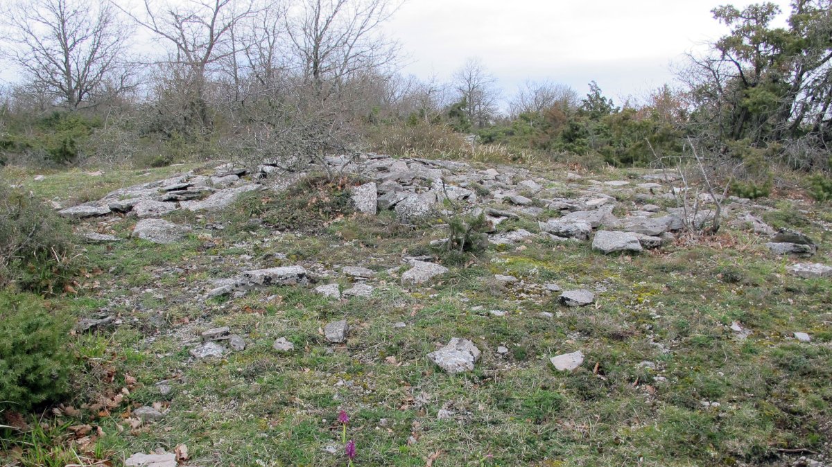 Larrola 2 tumulua, Azantza-Goñi