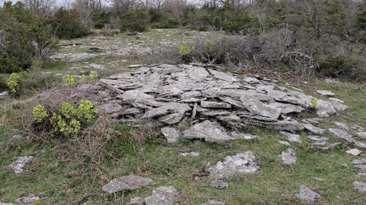 Larrola 4 tumulua, Azantza-Goñi