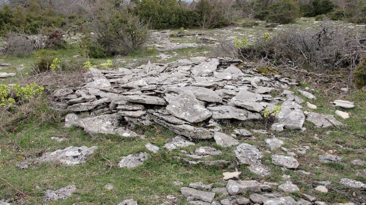 Larrola 4 tumulua, Azantza-Goñi