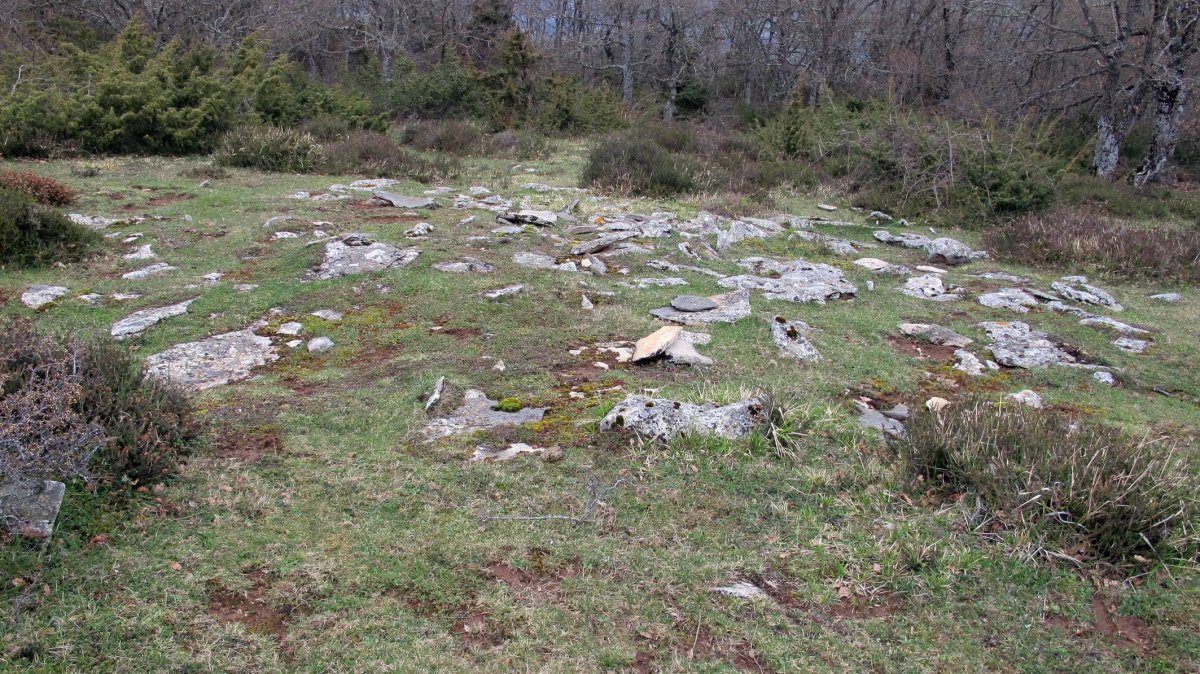 Oianburu 1 tumulua, Egilor-Ollo