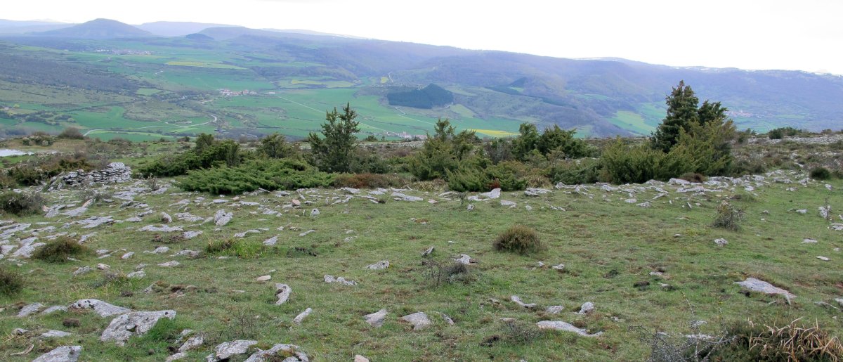 Balsa Illarradi 3 eraztun-tumulua, Azantza-Goñi