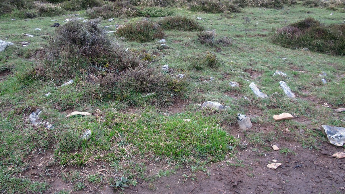 Arizdia 4 tumulua, Azantza-Goñi