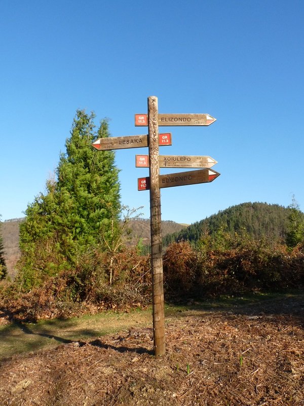 Geziak Ozkaritzko lepoan