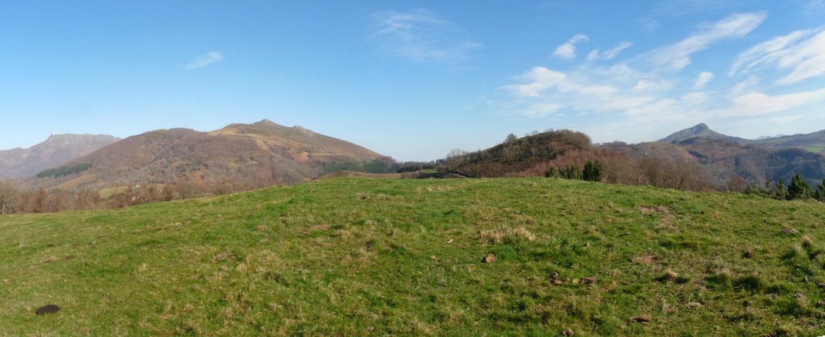 Monoko bizkarreko gailurra