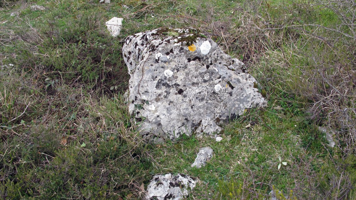 Lejazar Septentrional trikuharria, Urkabustaiz