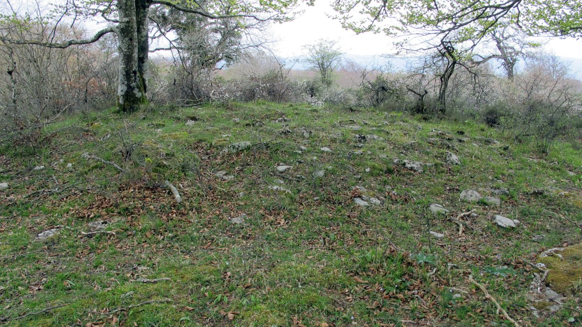 Las Esperas trikuharria, Urkabustaiz