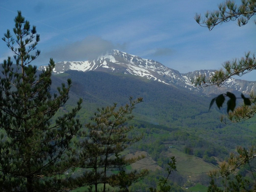 Orhi, Jorako maldatik