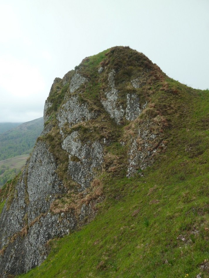 Tontorra, iparraldetik