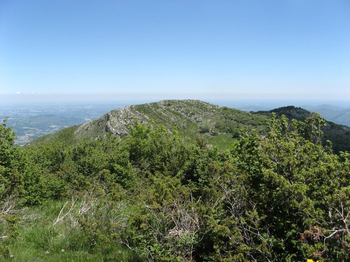 Etxekortea, Zünbiatik