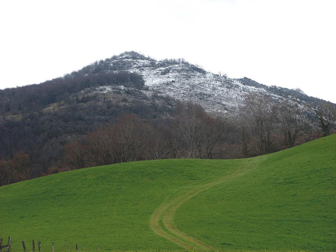 Belhigaina / Pic des Vautours, Lexaria lepotik