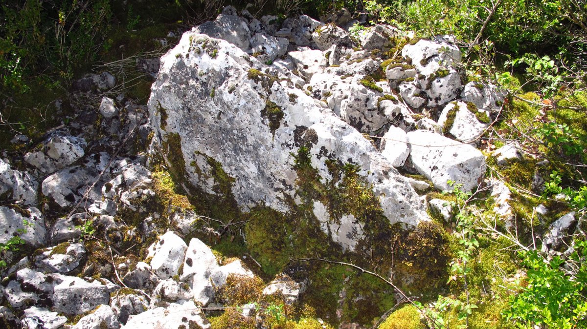 Ugarra 2 mendebal trikuharria, Napal-Erromantzatua