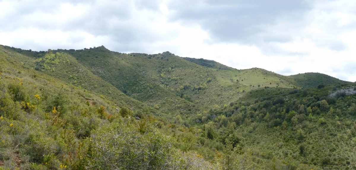 Txustako gainak arroiletik