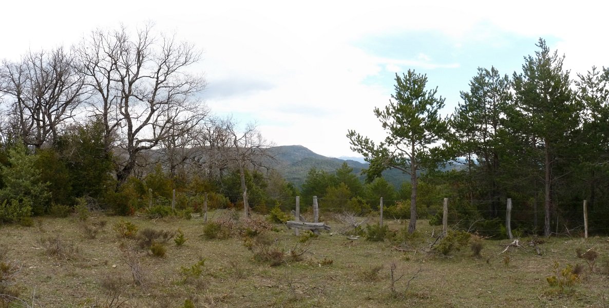 Zelagainako gailurra