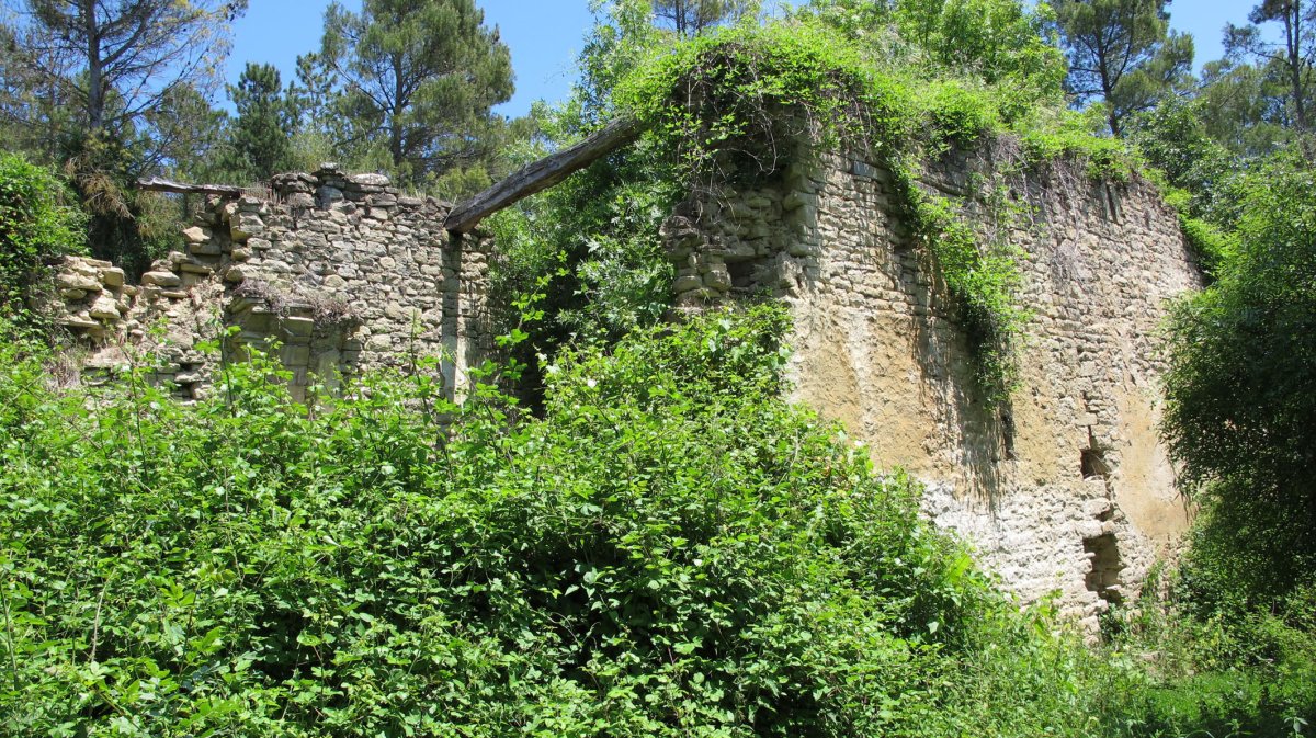 San Millan elizaren hondakinak, Loia-Ezporogi