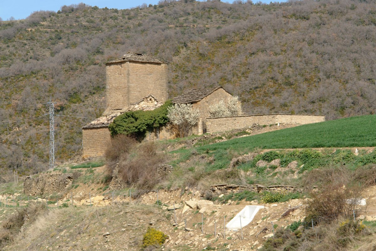 San Pelaio eliza, Amunarrizketan