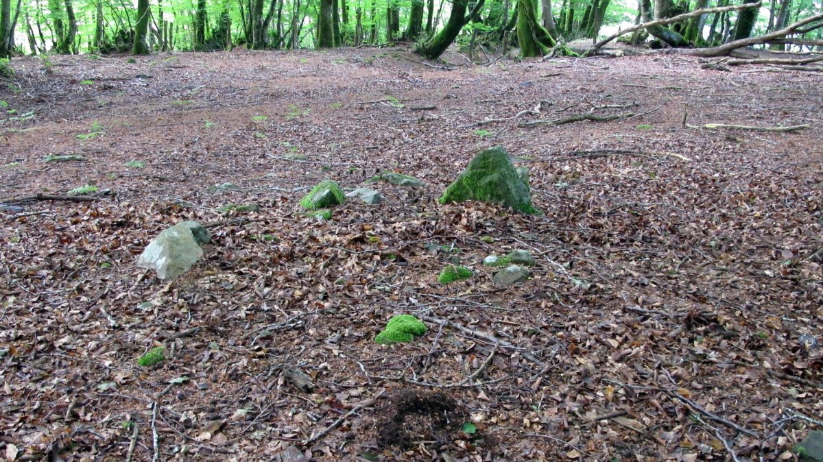 Amezti 2 ekialde tumulua, Lantz