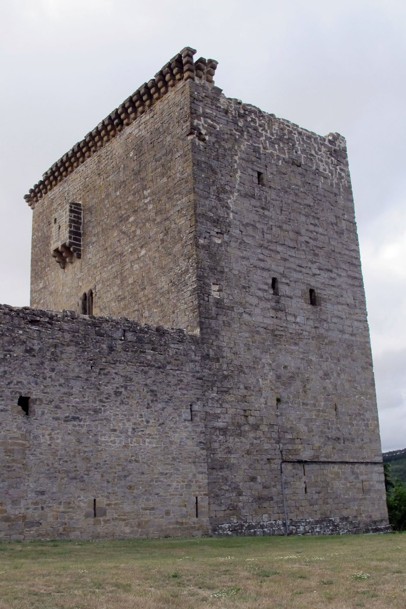 Arazuriko Leinu-etxe jauregia, Arazuri-Oltza