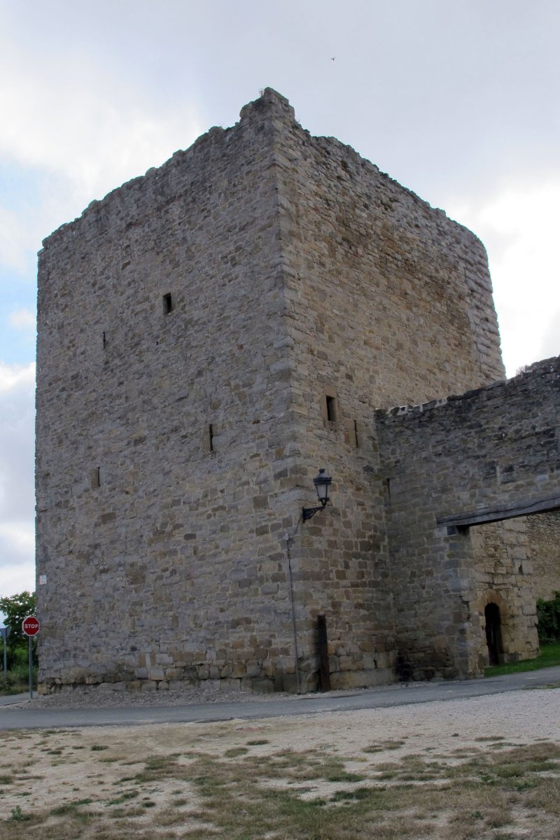 Arazuriko Leinu-etxe jauregia, Arazuri-Oltza