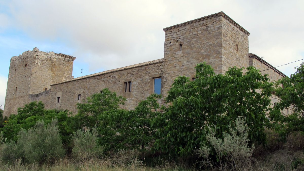 Arazuriko Leinu-etxe jauregia, Arazuri-Oltza