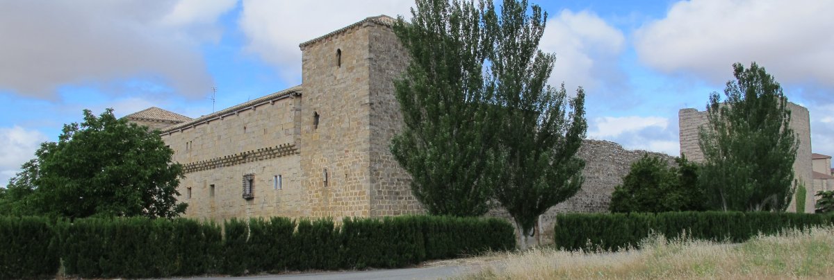 Arazuriko Leinu-etxe jauregia, Arazuri-Oltza