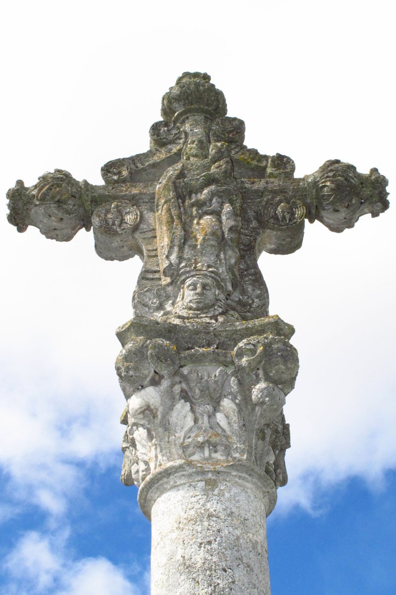 Kruzeroa, Ororbia-Oltza