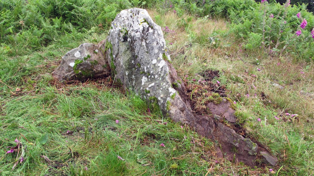 Giltzurrin Harrie trikuharria, Mortua-Ultzama