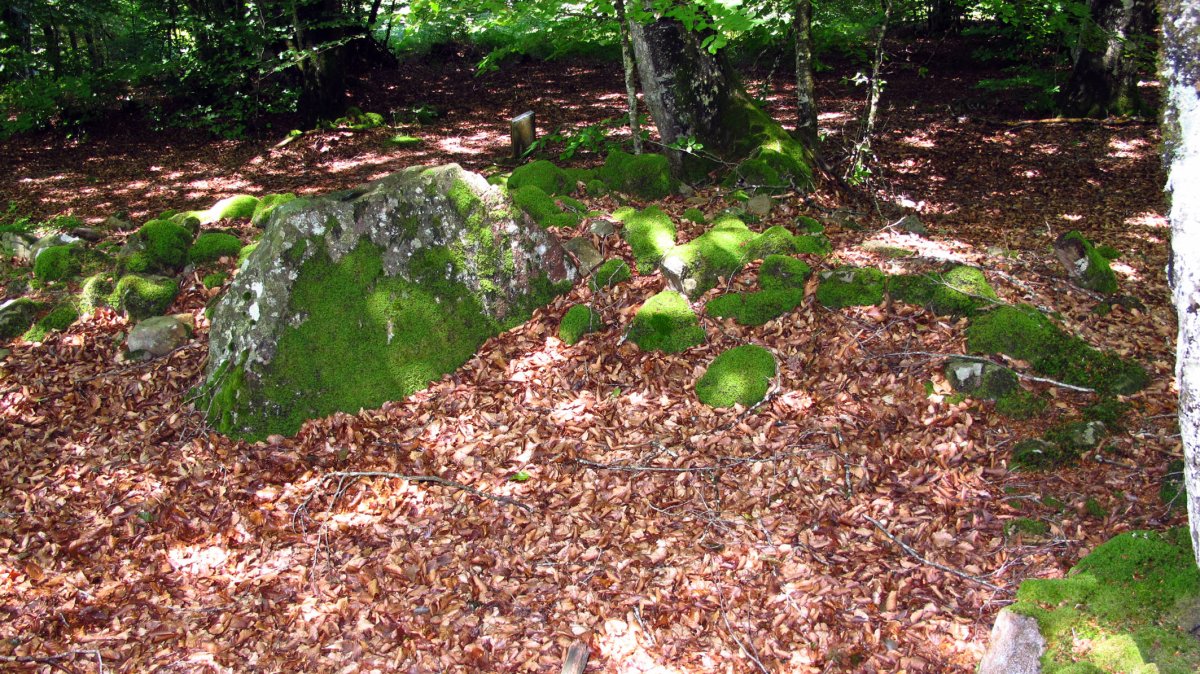 Koparain trikuharria, Mortua-Ultzama