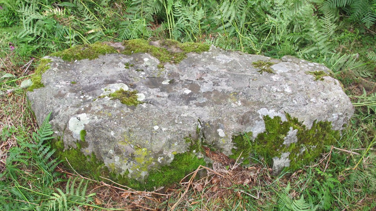 Giltzurrin Harrie zutarria, Mortua-Ultzama