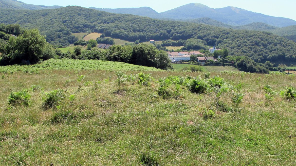 Karete 2 tumulua, Aritzu-Anue