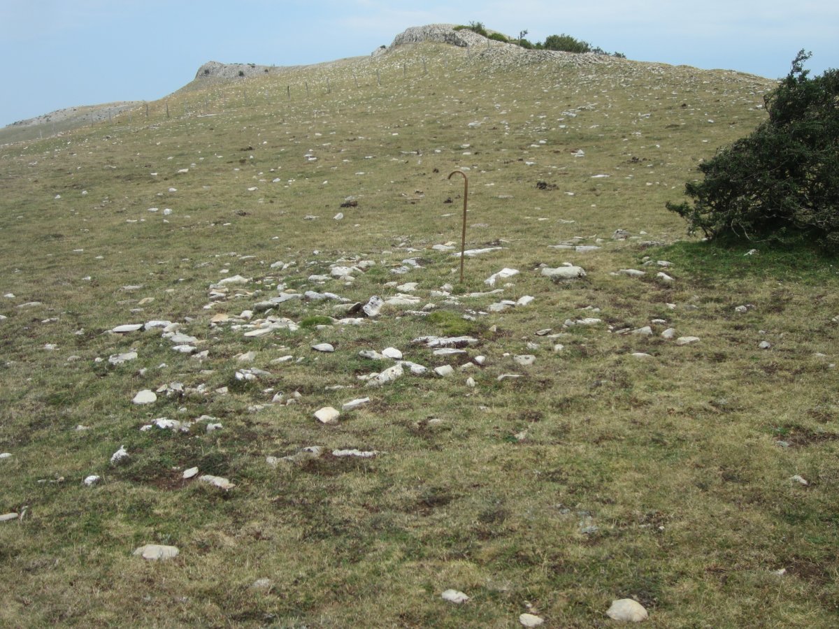 Túmulo Peña Elordia 1  (Julio  2016)